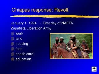 Chiapas response: Revolt