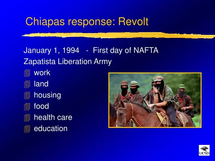 chiapas response revolt