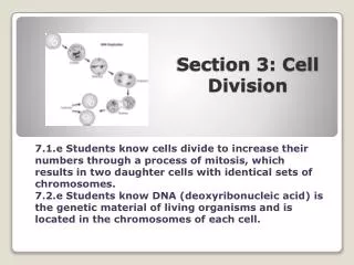 Section 3: Cell Division