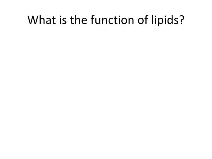what is the function of lipids