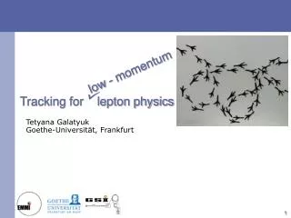 Tracking for lepton physics