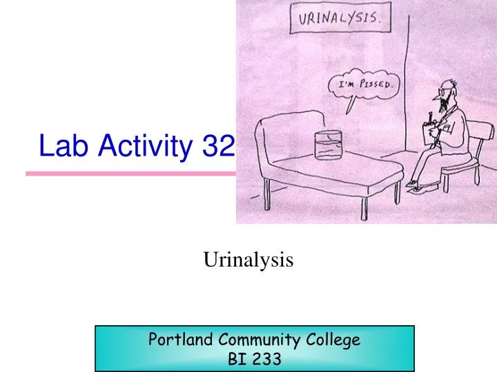 lab activity 32