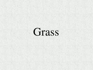 Grass