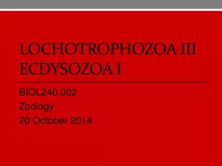 lochotrophozoa III ecdysozoa I