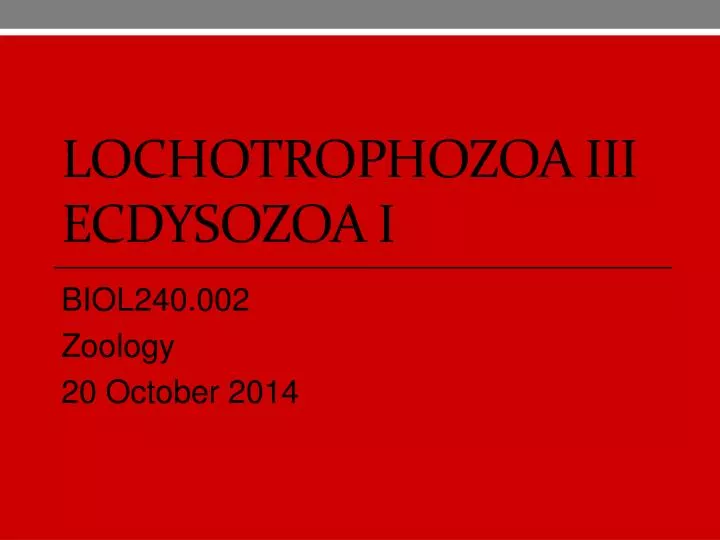 lochotrophozoa iii ecdysozoa i