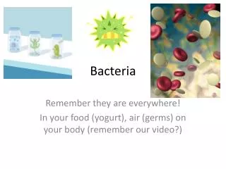 Bacteria