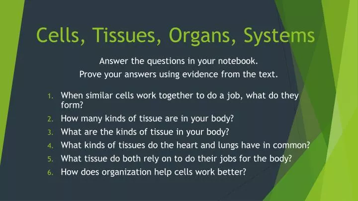 cells tissues organs systems