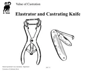 Elastrator and Castrating Knife