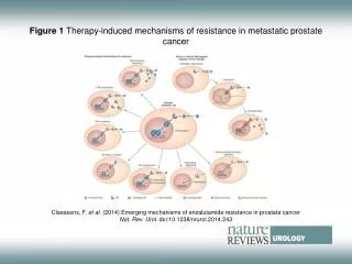 Figure 1 Therapy-induced mechanisms of resistance in metastatic prostate cancer