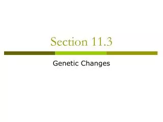 section 11 3