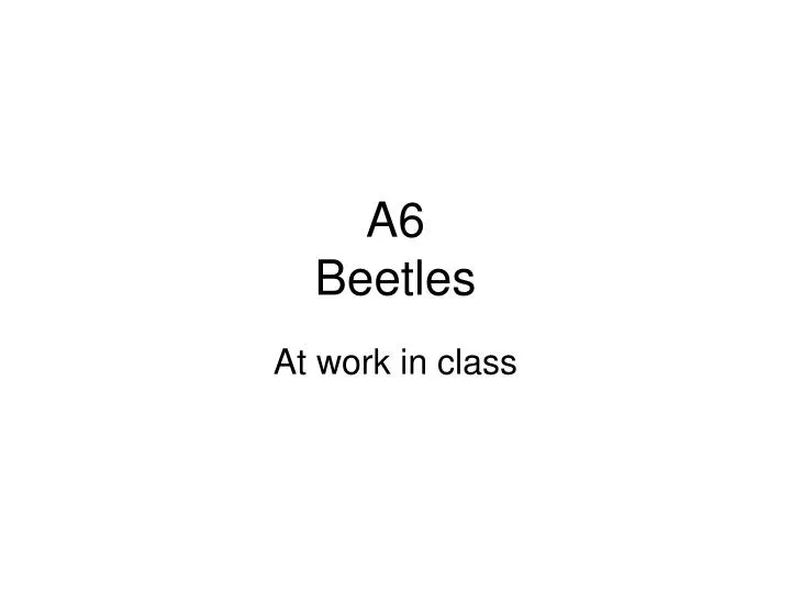 a6 beetles