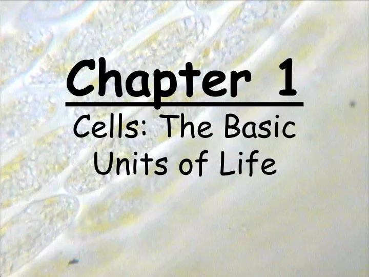 chapter 1 cells the basic units of life