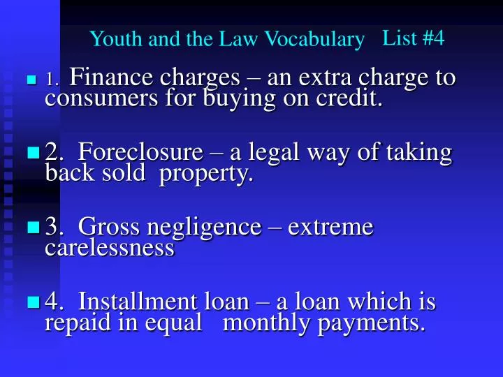 youth and the law vocabulary