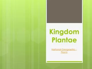 Kingdom Plantae