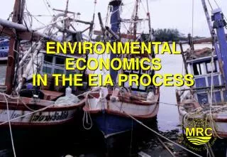 ENVIRONMENTAL ECONOMICS IN THE EIA PROCESS