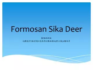 Formosan Sika Deer