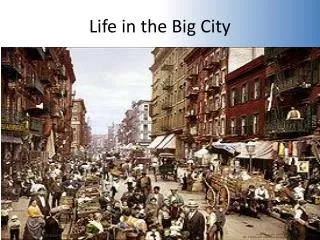 Life in the Big City