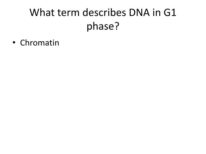 what term describes dna in g1 phase