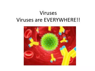 Viruses Viruses are EVERYWHERE!!