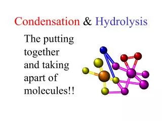 Condensation &amp; Hydrolysis