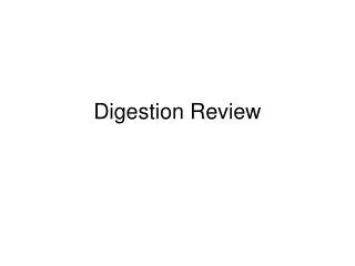 Digestion Review