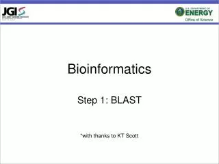 Bioinformatics