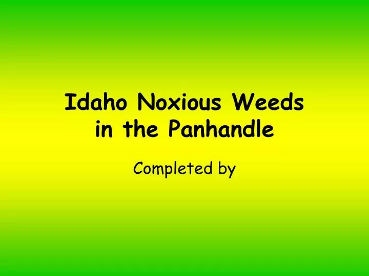 idaho noxious weeds in the panhandle