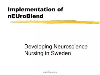 Implementation of nEUroBlend