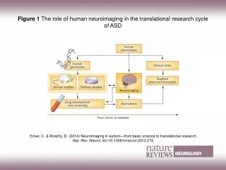Figure 1 The role of human neuroimaging in the translational research cycle of ASD