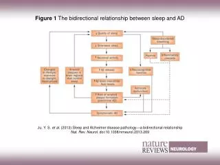 Figure 1 The bidirectional relationship between sleep and AD