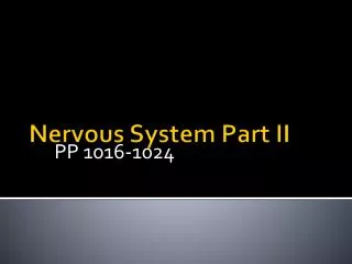NERVOUS SYSTEM II