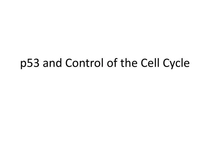 p53 and control of the cell cycle