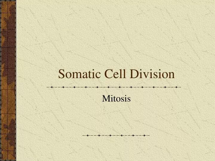 somatic cell division