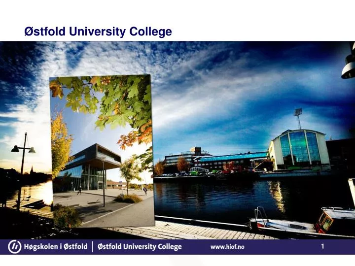 stfold university college