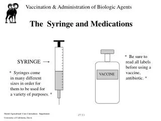 The Syringe and Medications