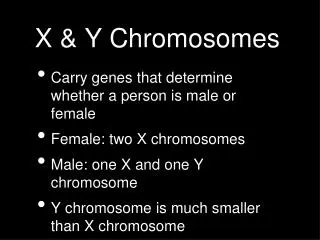 x y chromosomes