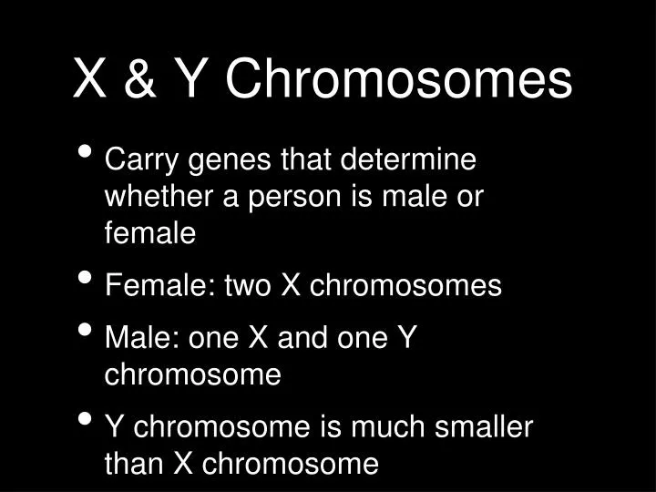 x y chromosomes