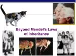 Beyond Mendel’s Laws of Inheritance - slide 1