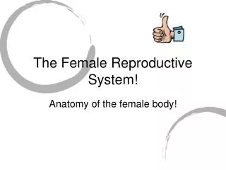 The Female Reproductive System!