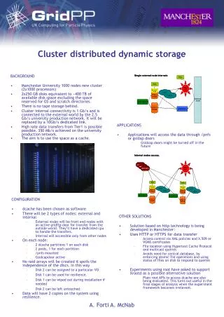 Cluster distributed dynamic storage