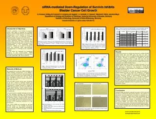 siRNA-mediated Down-Regulation of Survivin Inhibits Bladder Cancer Cell Growth