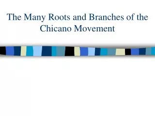 The Many Roots and Branches of the Chicano Movement