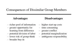 Consequences of Dissimilar Group Members