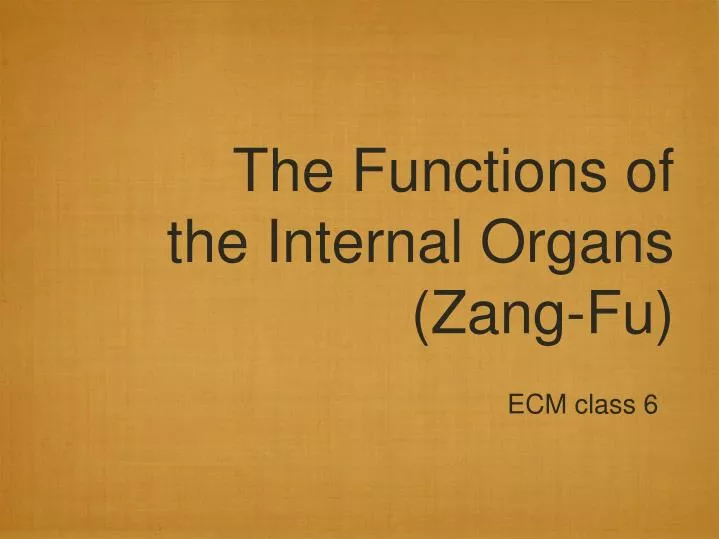 the functions of the internal organs zang fu