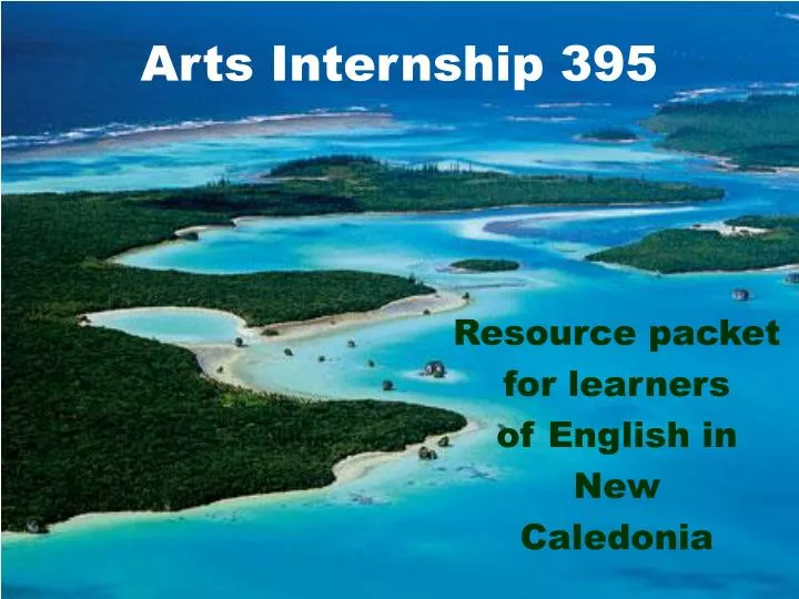 arts internship 395