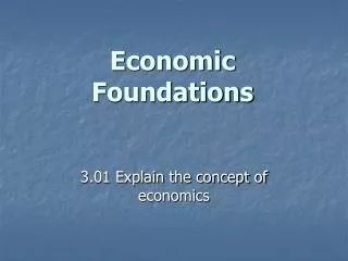 Economic Foundations