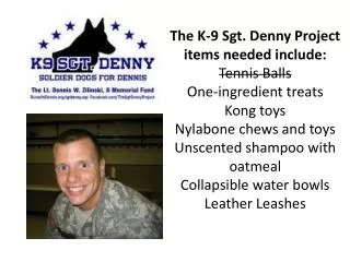 Sgt. Denny Info