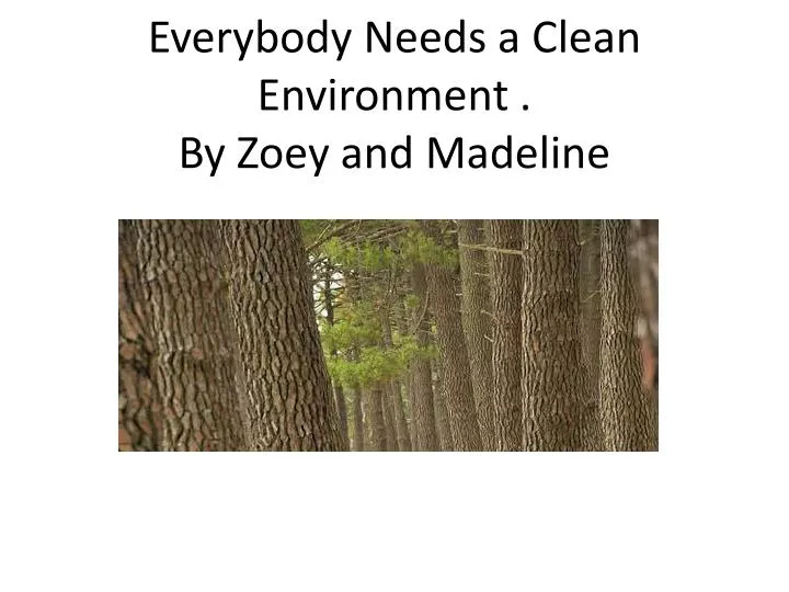 everybody n eeds a clean environment by zoey and madeline