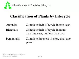 Classification of Plants by Lifecycle