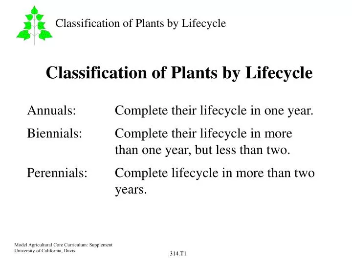 classification of plants by lifecycle